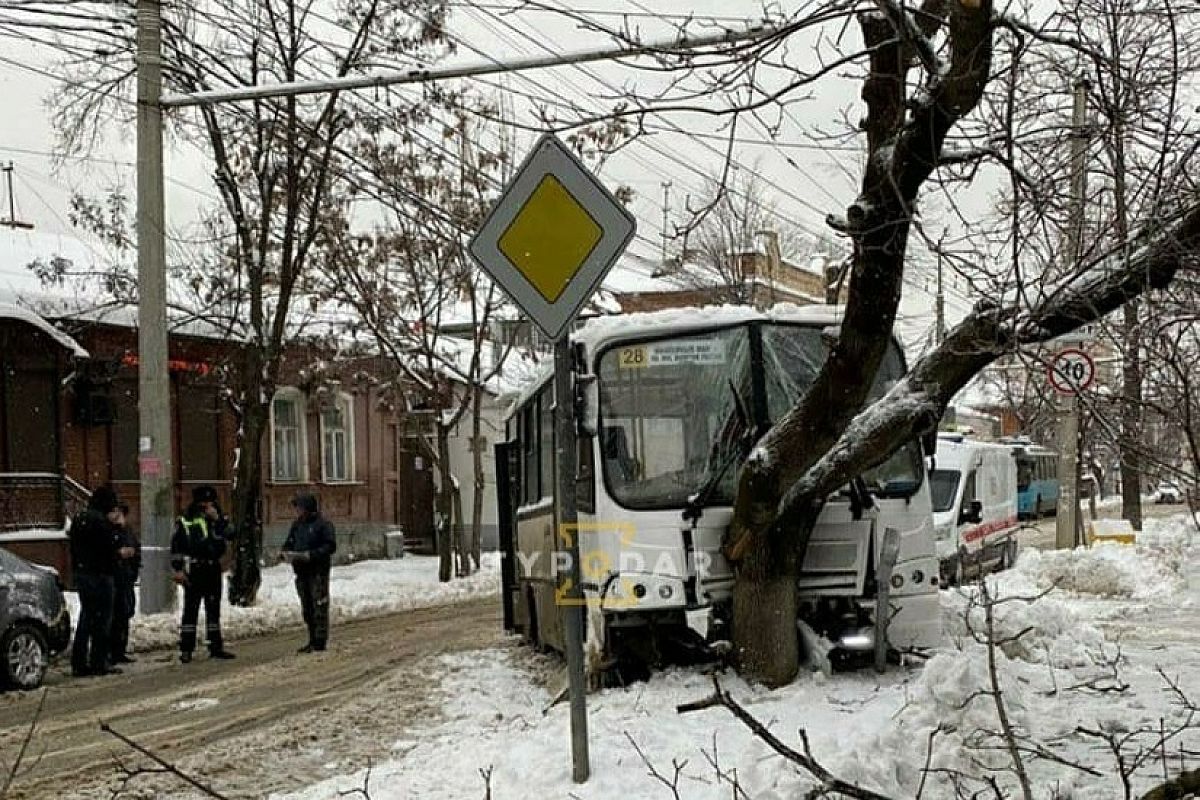 В центре Краснодара автобус с пассажирами врезался в дерево