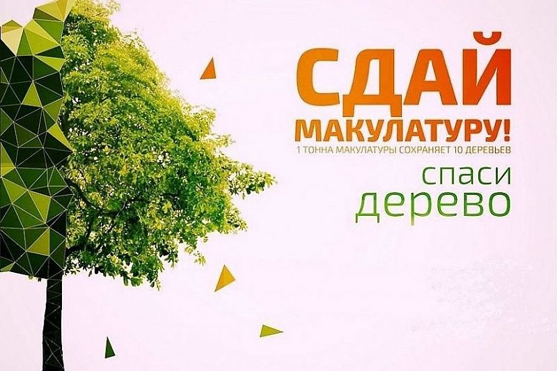 «Сдай макулатуру - спаси дерево!»: в Краснодарском крае стартовал экомарафон