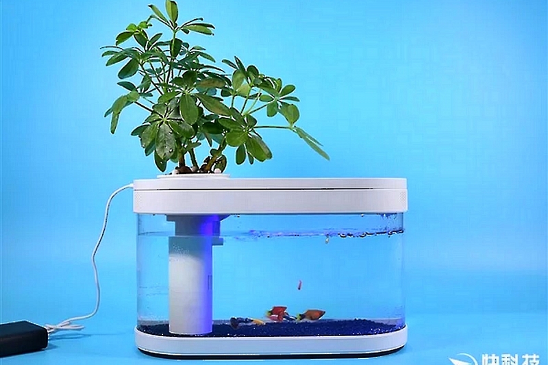 Xiaomi представила необычный аквариум