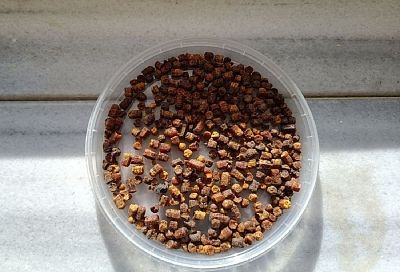 Каждое утро начинаю со стакана воды и 4 зернышек перги. Как повлияет на ваше здоровье эта привычка