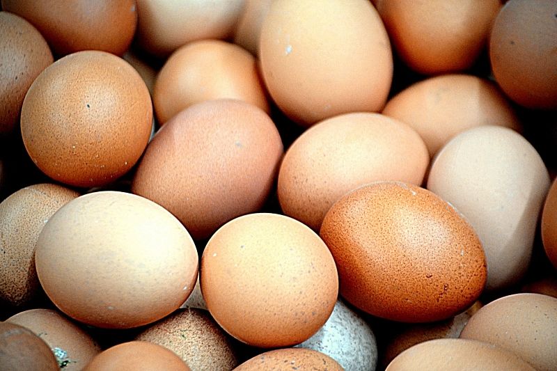 Глава Минсельхоза Патрушев рассказал о мерах по стабилизации цен на яйца в России