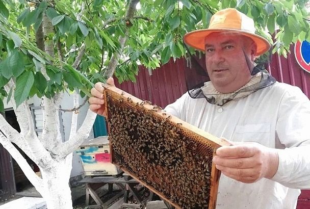 Медовое царство: как пчеловод из станицы Калининской возрождает культуру потребления мёда