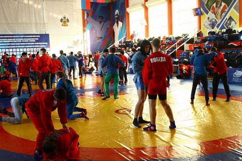 Стратегию развития спортивных единоборств реализуют в Краснодарском крае