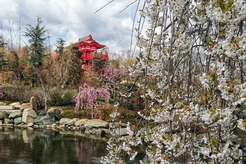 В Японский сад парка «Краснодар» 30 и 31 марта можно попасть и без QR-кода