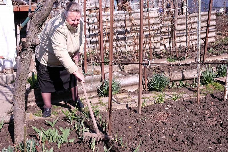 В свои 80 лет она не сидит на месте. В огороде работает, по дому убирает и готовит. 