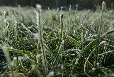 Возвратные заморозки ожидаются в Крыму 