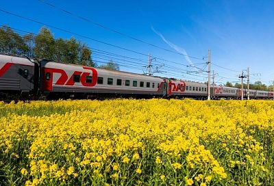 Поезд «Гастротур» вновь приедет на Кубань: в 2026 году он сделает три рейса