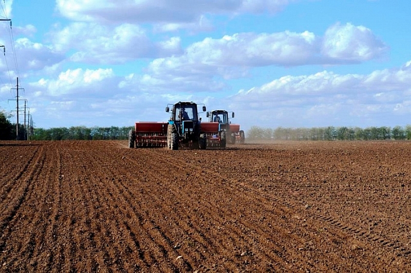 В Краснодарском крае завершена посевная кампания под урожай 2020 года