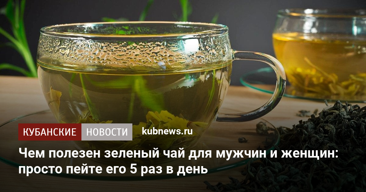 Польза зеленого чая для организма мужчины. Зеленый чай Санчо.