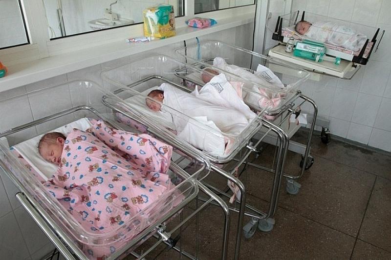 Свыше 8900 жителей Краснодарского края получают ежемесячную выплату на первого ребенка