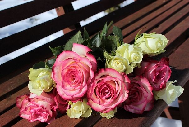 Карту страны из 30 тыс. бутонов роз создадут в День России в Краснодаре