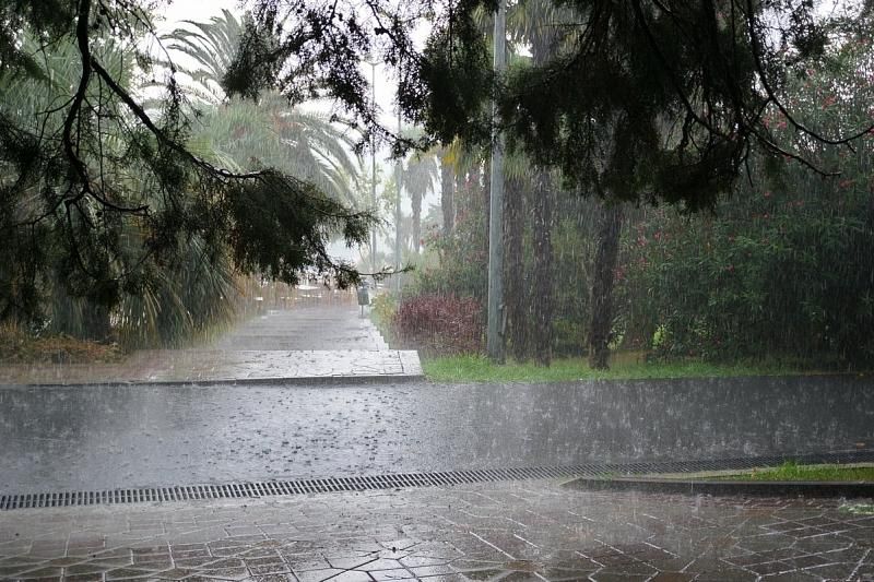 Жителей Сочи предупреждают о сильном дожде с грозой
