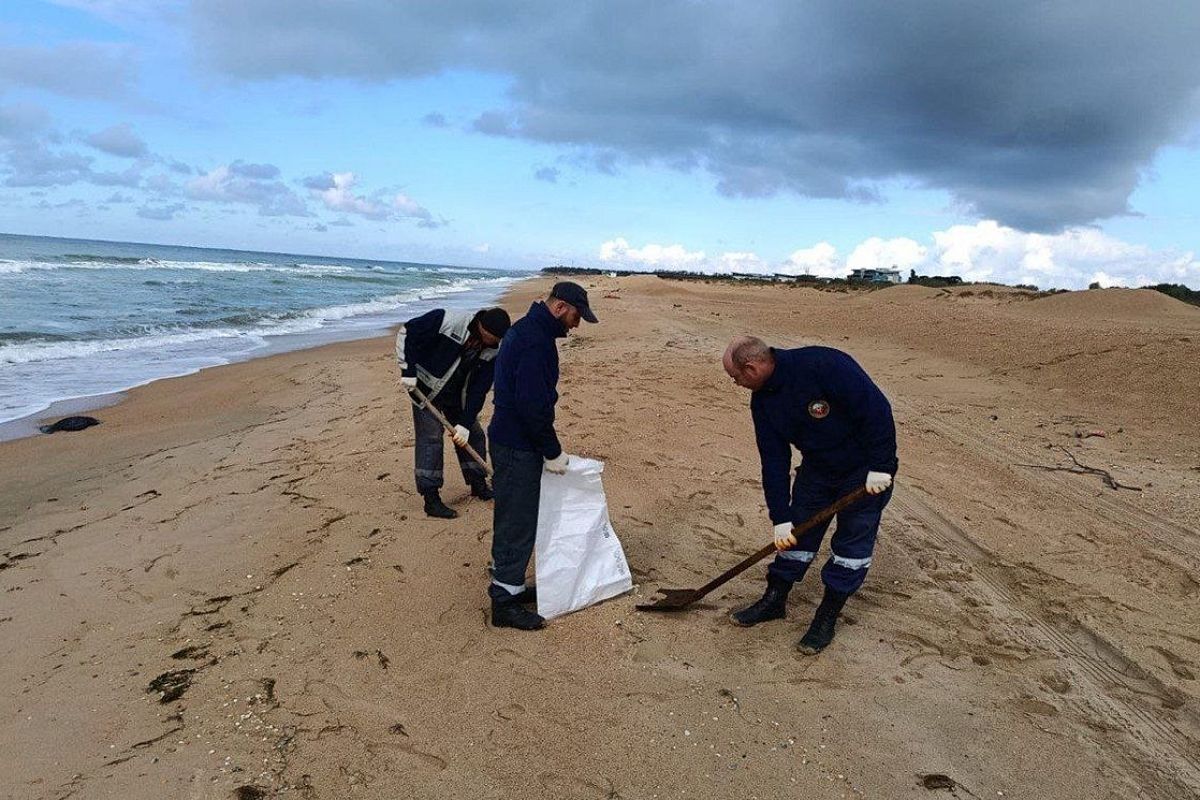 Выбросы мазута обнаружены на двух участках побережья Анапы