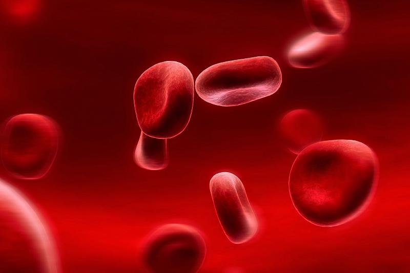 Ученые рассказали о взаимосвязи группы крови и болезней
