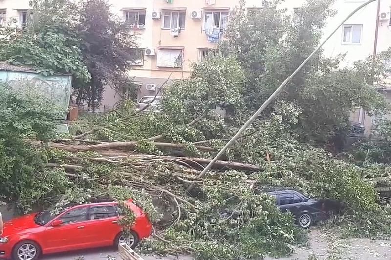 В Сочи сильный ливень с ветром затопил улицы и повалил деревья 