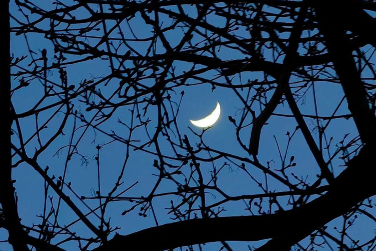 Ночные температуры резко рухнут в Краснодарском крае