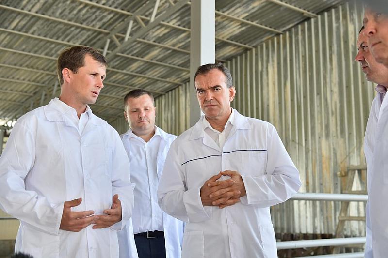 Одно из животноводческих предприятий Тбилисского района посетил губернатор Краснодарского края Вениамин Кондратьев.