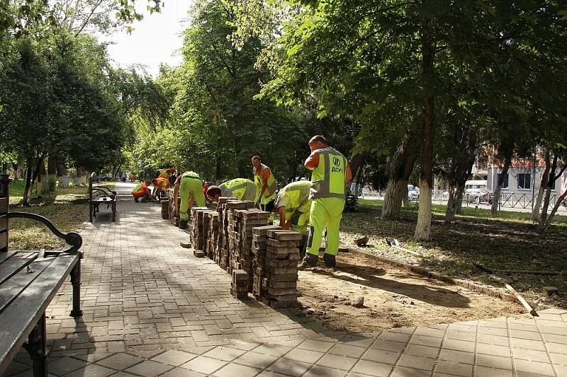 232 дерева и почти 5 тысяч кустарников: в Краснодаре до сентября обновят Гагаринский бульвар