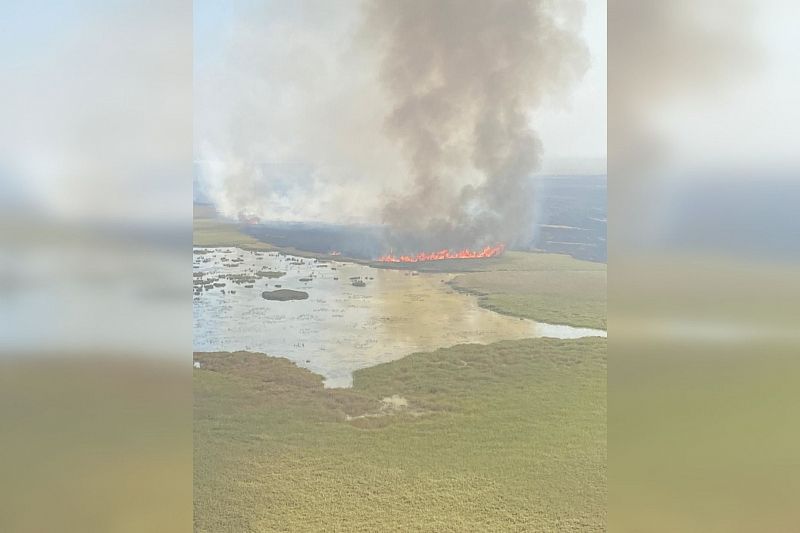 Возгорание камыша в Приморско-Ахтарском районе полностью ликвидировано