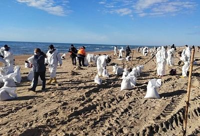 Глава МЧС Куренков заявил, что в зоне ликвидации разлива мазута на Черноморском побережье выполнено 15% работ