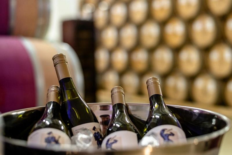 Миллиарды в бокале: как кубанское вино набирает зрелость 