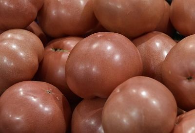 Более 20 тонн томатов из Турции забраковали в порту Туапсе