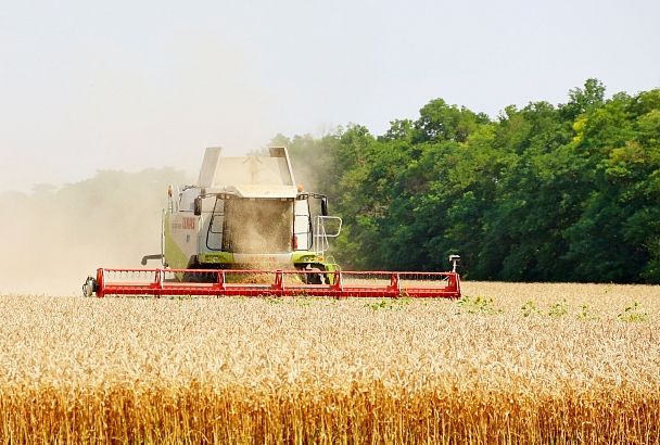 Растут на инновациях: агросектор Белоглинского района успешно внедряет научные разработки 