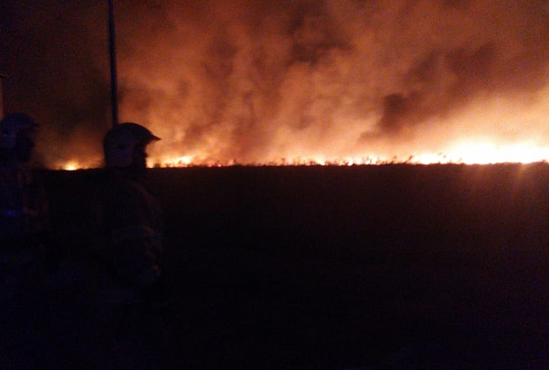 Крупный пожар в плавнях Анапы локализован на площади 1500 кв.м