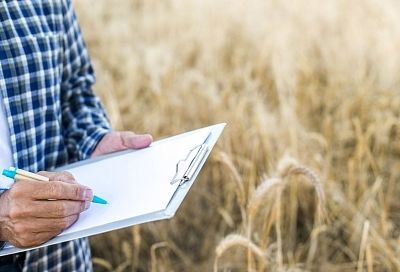 ВТБ планирует продать свои сельскохозяйственные активы