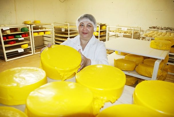 Сыр – всему голова