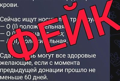 Оперштаб Кубани опроверг информацию о срочном сборе донорской крови после атаки БПЛА на Новороссийск