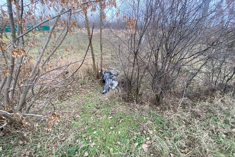 На Кубани мотоцикл съехал с дороги и врезался в дерево. Погиб пассажир