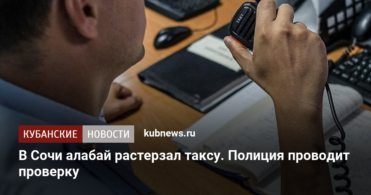 В Сочи алабай растерзал таксу. Полиция проводит проверку