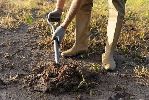 Закапываем «клад»: надо ли зарывать в землю на огороде пищевые отходы, чтобы ее удобрить 