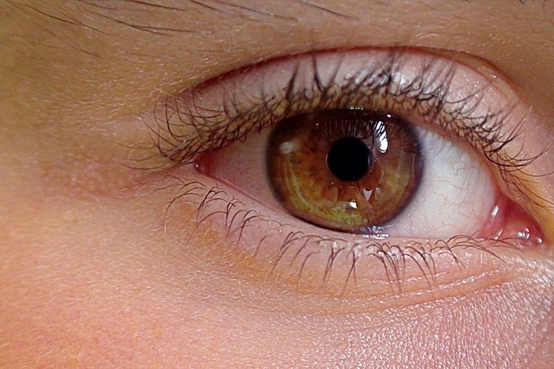 Ученые «Сириуса» разработали уникальный препарат от лишающей зрения нейропатии Лебера