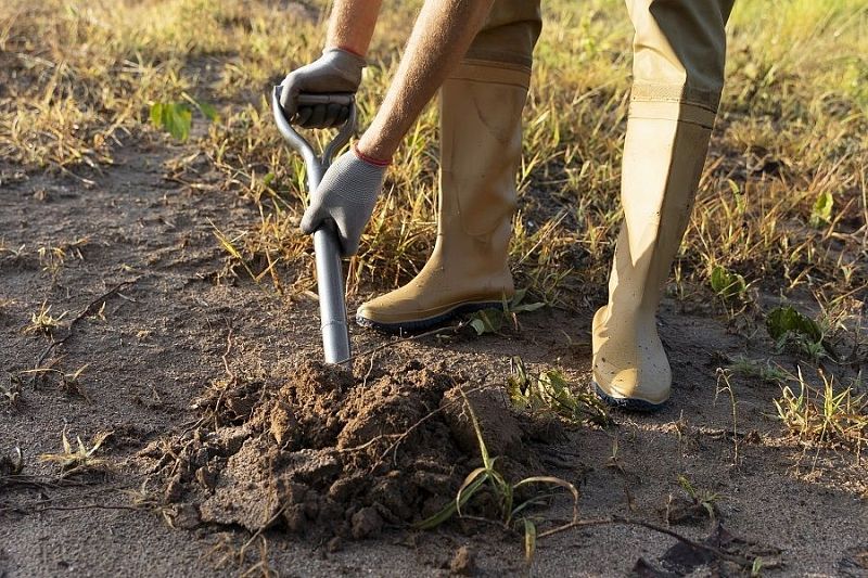 Закапываем «клад»: надо ли зарывать в землю на огороде пищевые отходы, чтобы ее удобрить 