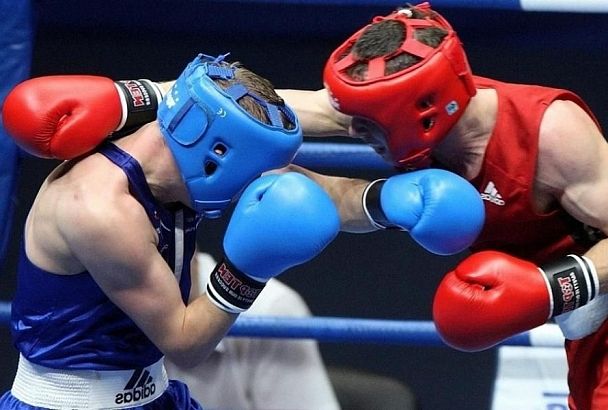 Чемпионат ЮФО по боксу стартовал в Краснодарском крае