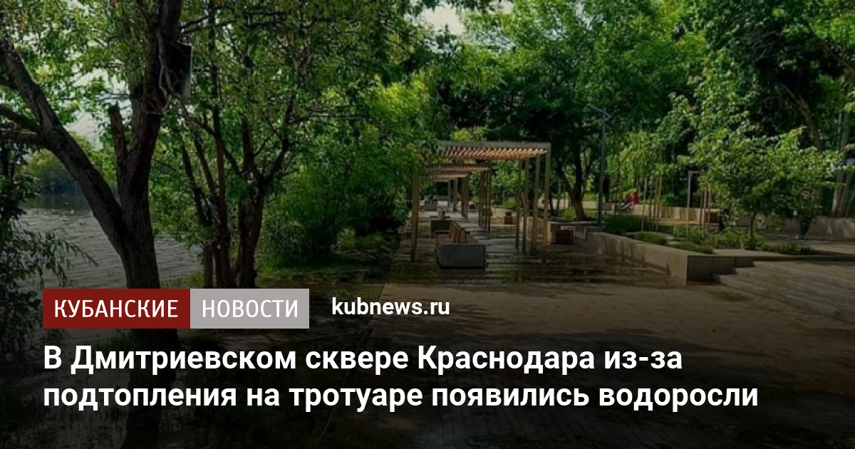 Дмитриевский сквер фото краснодар