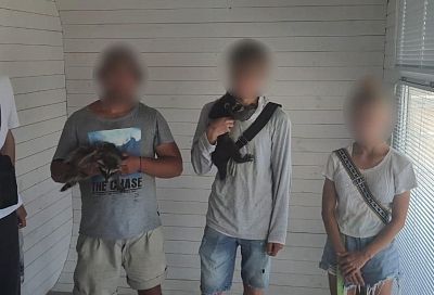 Фотографов-живодеров с енотами задержали на набережной Анапы