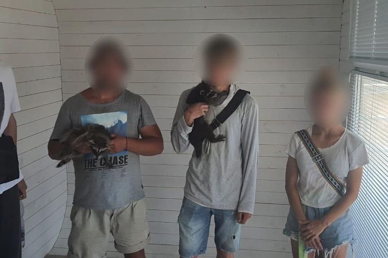 Фотографов-живодеров с енотами задержали на набережной Анапы