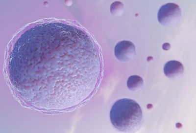 Российские учёные разработали улучшенную методику диагностики эмбрионов при ЭКО
