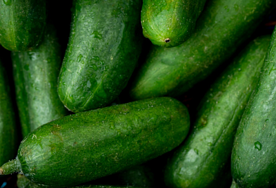 Минсельхоз: огурцы в России подешевели почти на 25% за месяц