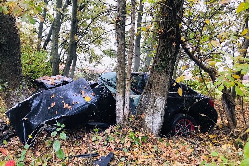 Под Краснодаром 23-летний водитель на «Ниссане» съехал с дороги и врезался в дерево. Он погиб