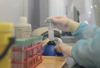 Систему ранней диагностики преждевременных родов разрабатывают ученые на Кубани