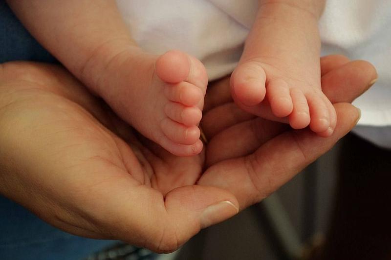 На Кубани с начала года младенческая смертность снизилась на четверть 