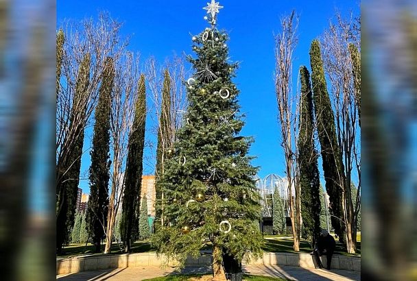 В парке «Краснодар» украсили елку к Новому году