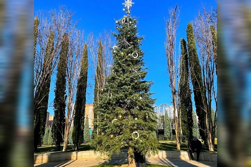 В парке «Краснодар» украсили елку к Новому году