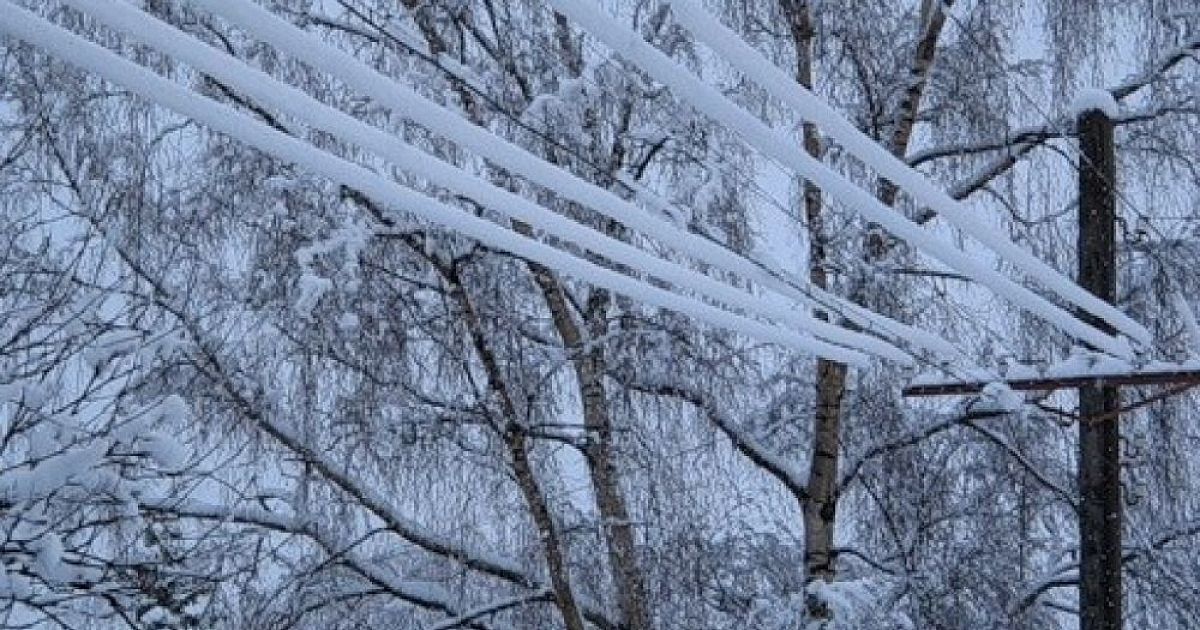 Иней лег. Налипание снега на провода. Налипание мокрого снега на провода. Изморозь на проводах. Иней на проводах.