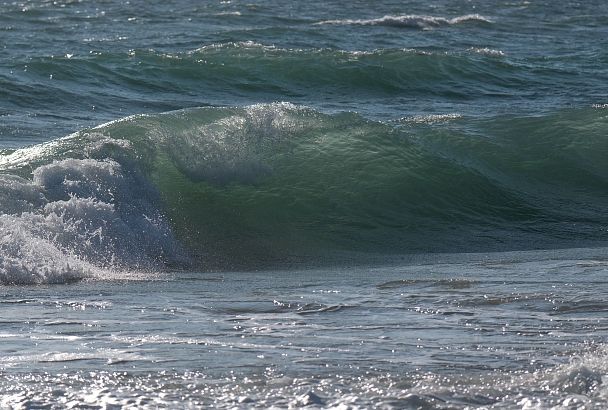 Определен уровень загрязнения юго-западного берега Азовского моря