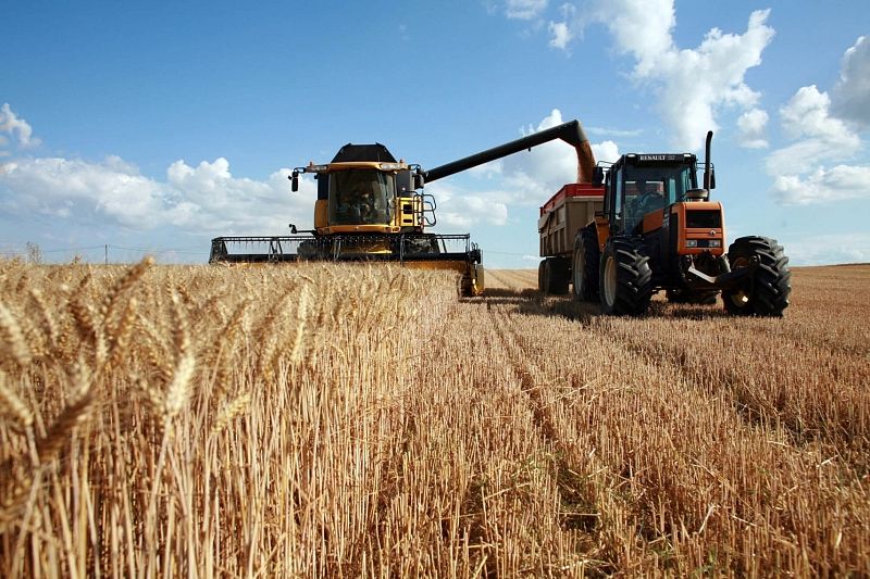 В 2022 году основной зерновой культуры – озимой пшеницы было выращено 630 тыс. тонн, что на 70 тыс. тонн больше, чем в 2021 году.